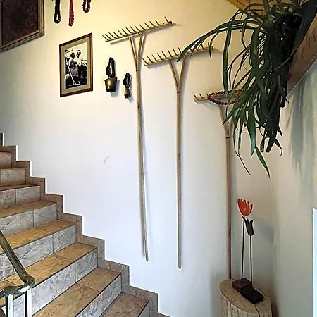 Oda ve Kahvaltı Gosciniec Odsapka 3*